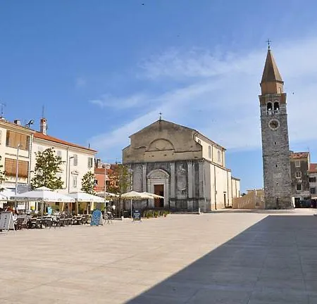 App Kalender * Umag